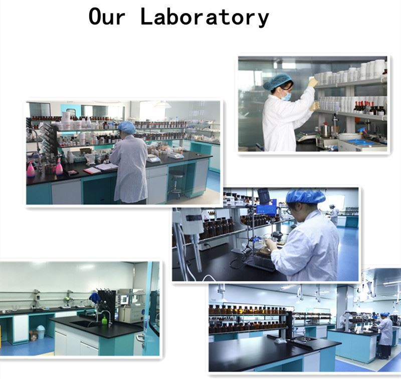 our labortory our labortory